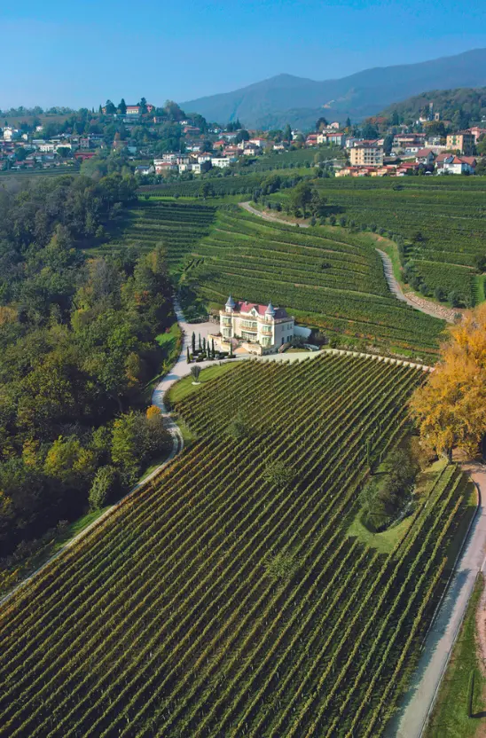 Castello Luigi's 9 hectars of the vineyard and the castle