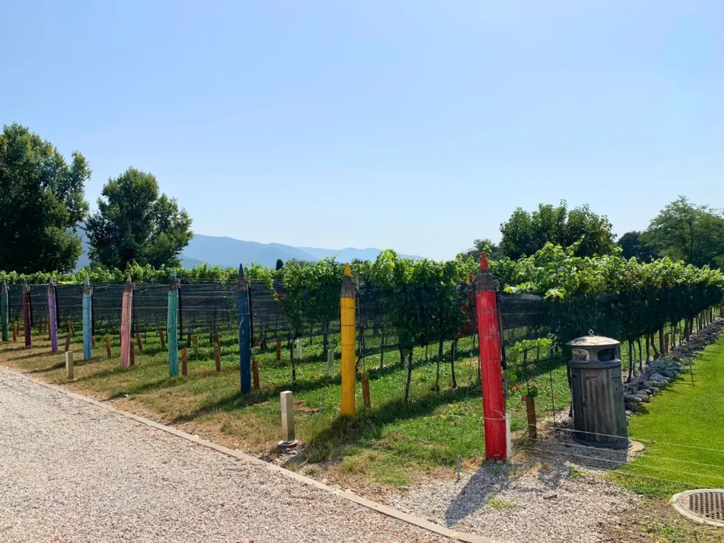 Castello Luigi vineyard